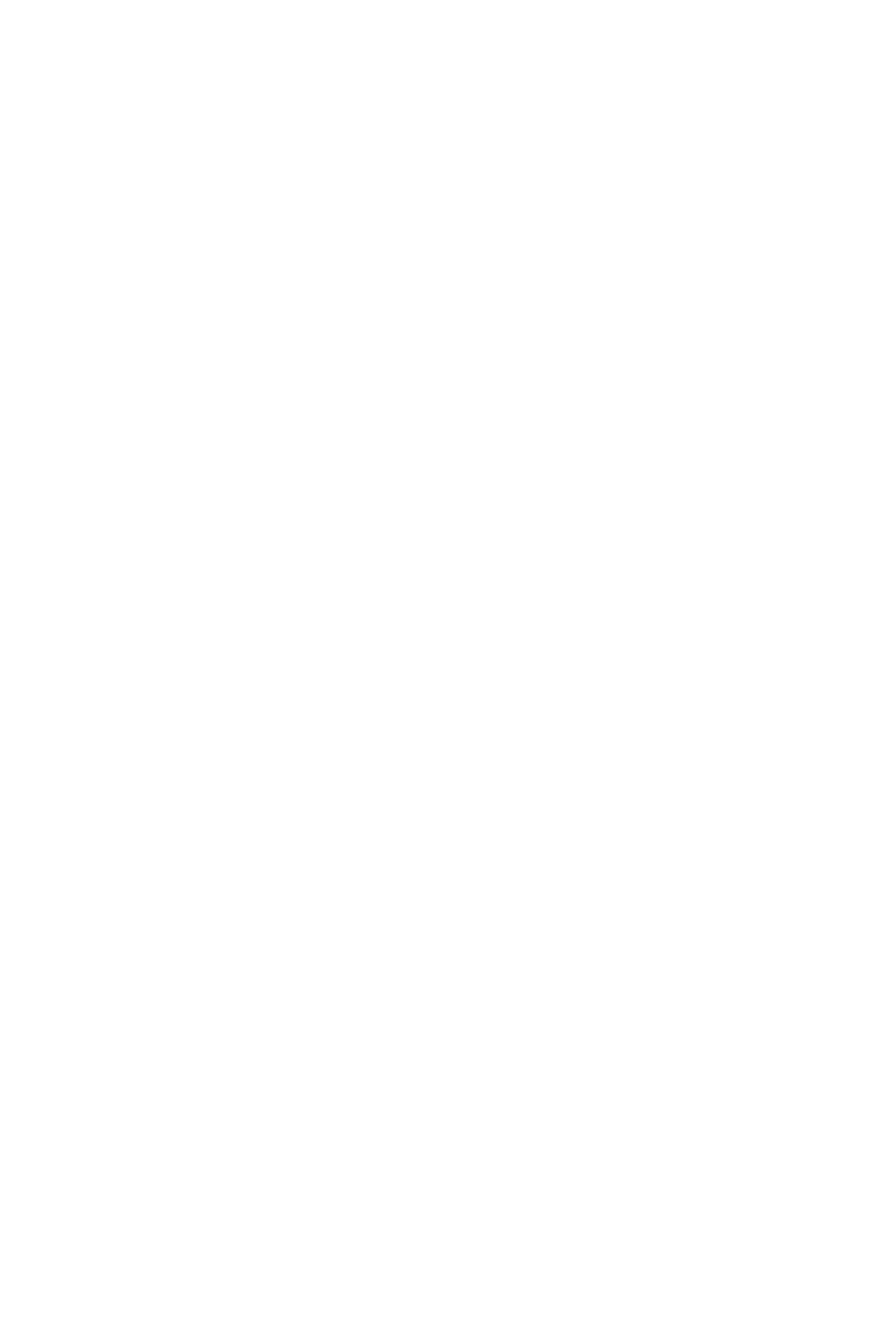 FT100 FLAT BED trailer dimensions