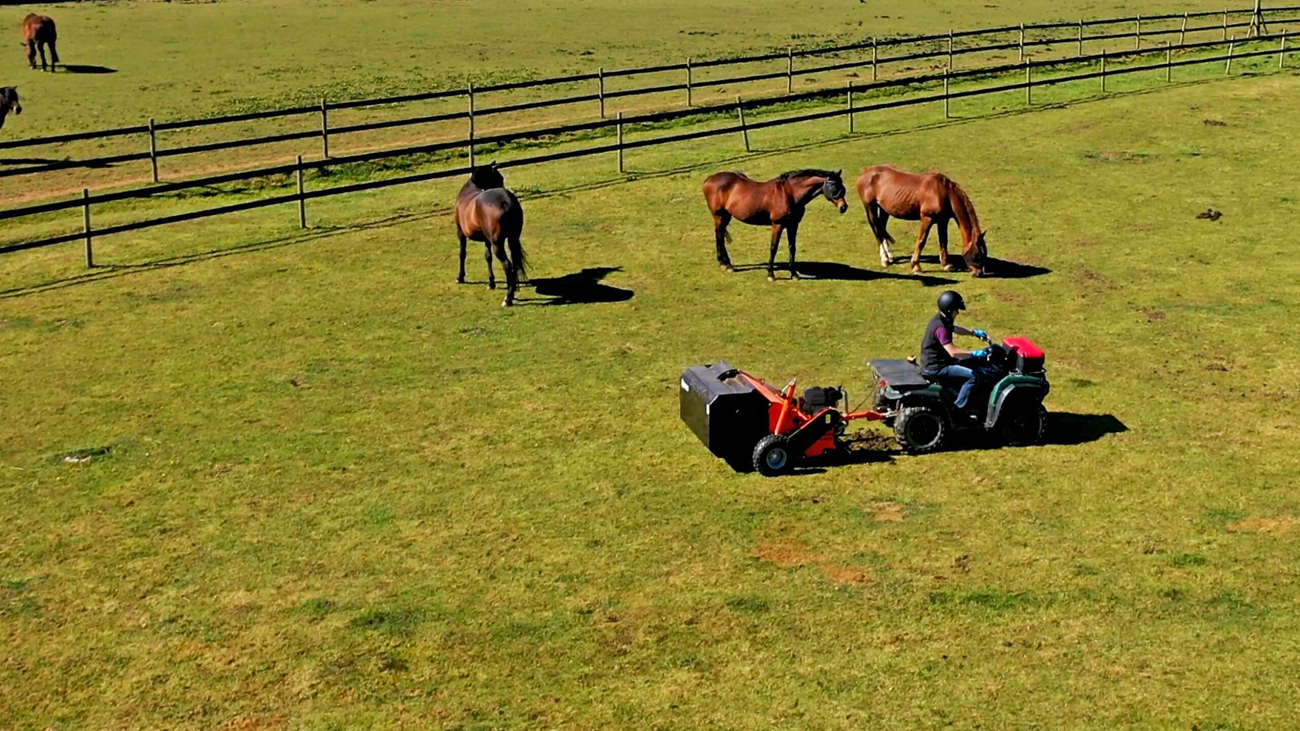 PC120 Still with horses in the background